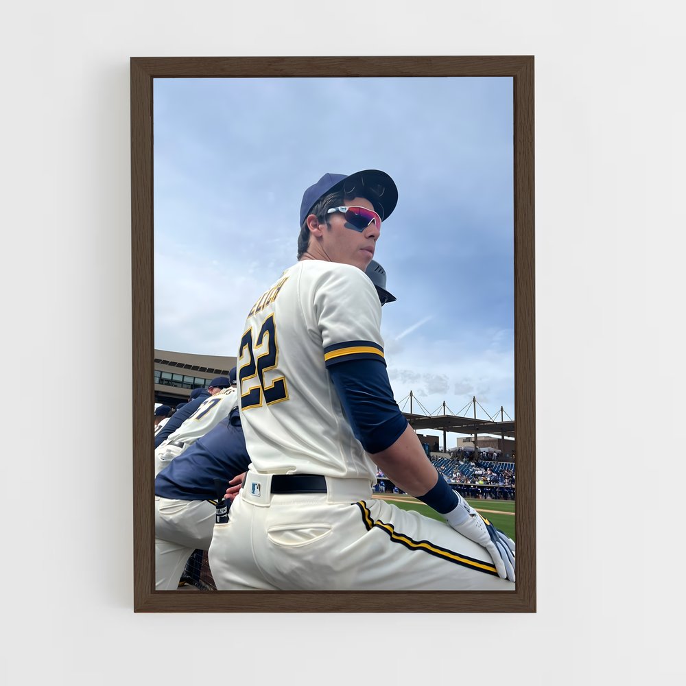 Poster The Benchwarmer – affiche Baseball (vue 5)